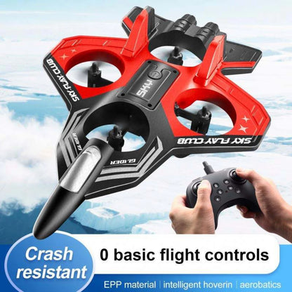 RC plane drone